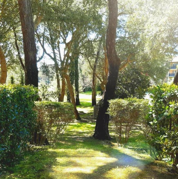 Appartement "Chez Mag Et Jo" Moliets-et-Maa Exteriör bild
